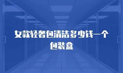 女款轻奢包清洁多少钱一个包装盒