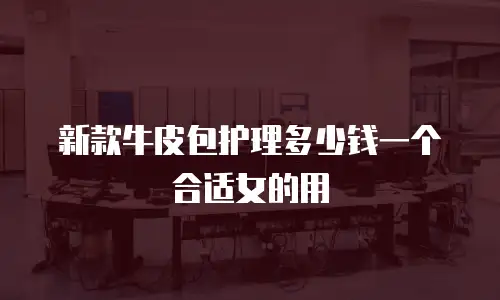 新款牛皮包护理多少钱一个合适女的用