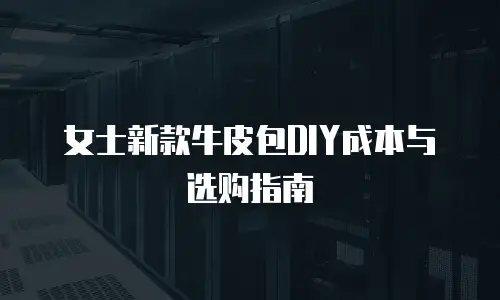 女士新款牛皮包DIY成本与选购指南