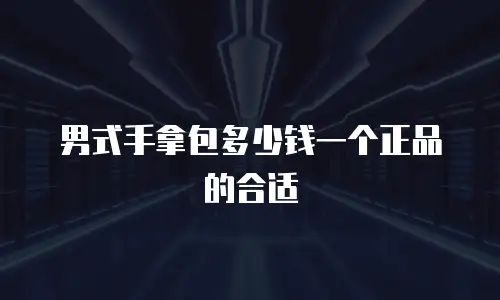 男式手拿包多少钱一个正品的合适