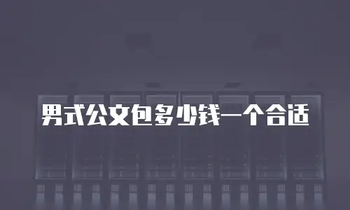 男式公文包多少钱一个合适