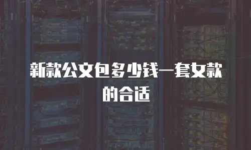 新款公文包多少钱一套女款的合适