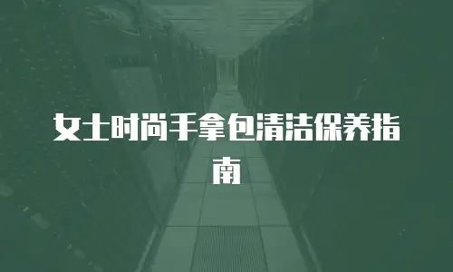 女士时尚手拿包清洁保养指南