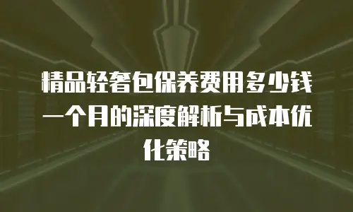 精品轻奢包保养费用多少钱一个月的深度解析与成本优化策略