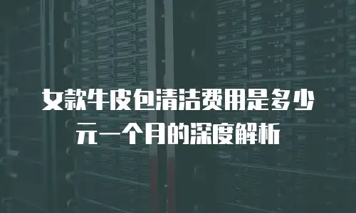 女款牛皮包清洁费用是多少元一个月的深度解析