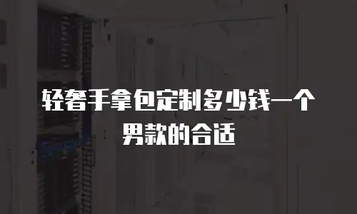轻奢手拿包定制多少钱一个男款的合适