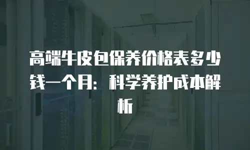 高端牛皮包保养价格表多少钱一个月：科学养护成本解析