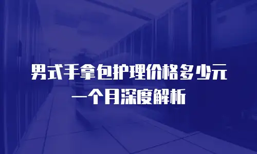 男式手拿包护理价格多少元一个月深度解析