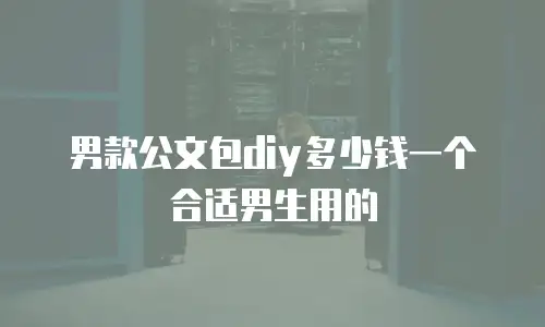 男款公文包diy多少钱一个合适男生用的