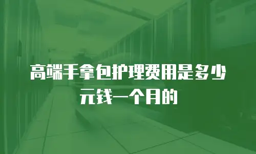 高端手拿包护理费用是多少元钱一个月的