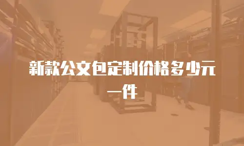 新款公文包定制价格多少元一件
