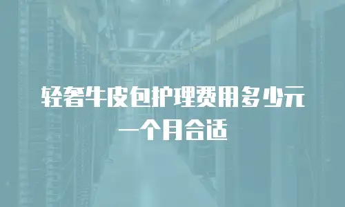 轻奢牛皮包护理费用多少元一个月合适