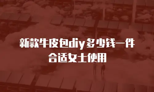 新款牛皮包diy多少钱一件合适女士使用