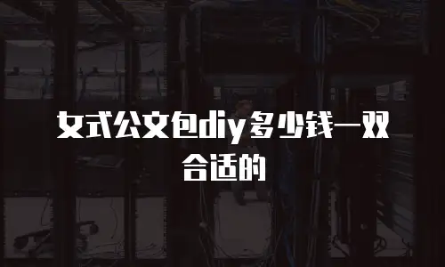 女式公文包diy多少钱一双合适的