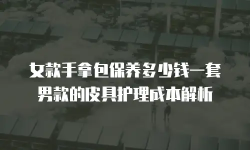 女款手拿包保养多少钱一套男款的皮具护理成本解析