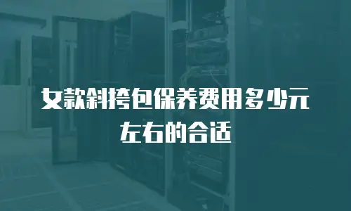 女款斜挎包保养费用多少元左右的合适