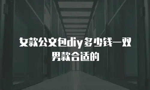 女款公文包diy多少钱一双男款合适的