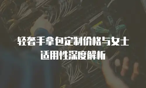 轻奢手拿包定制价格与女士适用性深度解析
