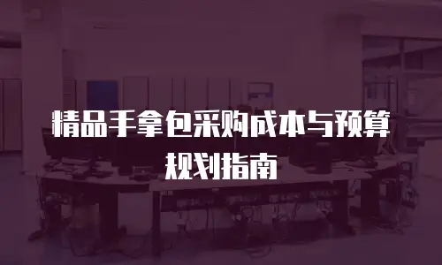 精品手拿包采购成本与预算规划指南