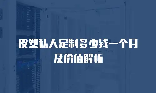 皮塑私人定制多少钱一个月及价值解析