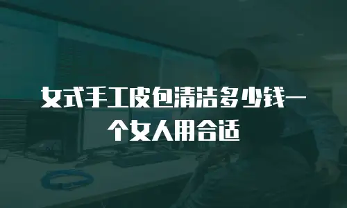 女式手工皮包清洁多少钱一个女人用合适