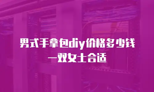 男式手拿包diy价格多少钱一双女士合适