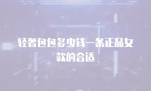 轻奢包包多少钱一条正品女款的合适