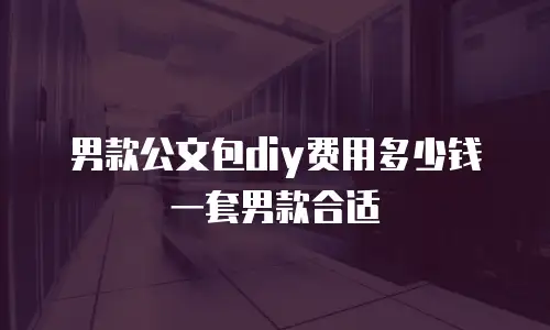 男款公文包diy费用多少钱一套男款合适