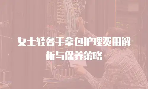 女士轻奢手拿包护理费用解析与保养策略
