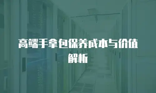 高端手拿包保养成本与价值解析