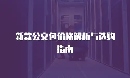 新款公文包价格解析与选购指南