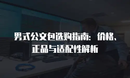 男式公文包选购指南：价格、正品与适配性解析