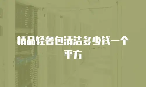 精品轻奢包清洁多少钱一个平方