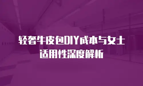 轻奢牛皮包DIY成本与女士适用性深度解析