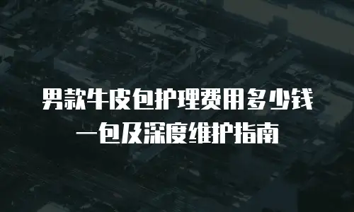 男款牛皮包护理费用多少钱一包及深度维护指南