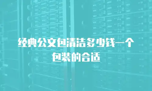 经典公文包清洁多少钱一个包装的合适