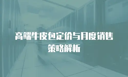 高端牛皮包定价与月度销售策略解析