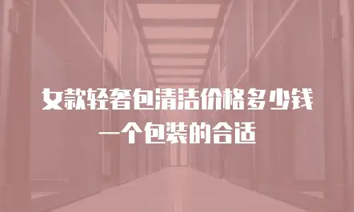 女款轻奢包清洁价格多少钱一个包装的合适