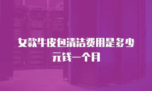 女款牛皮包清洁费用是多少元钱一个月