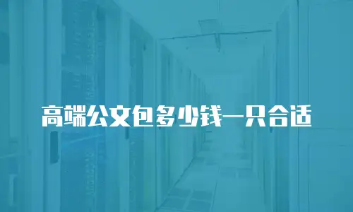 高端公文包多少钱一只合适