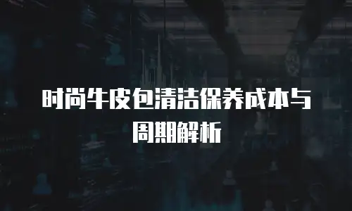 时尚牛皮包清洁保养成本与周期解析