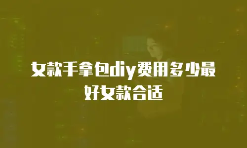 女款手拿包diy费用多少最好女款合适