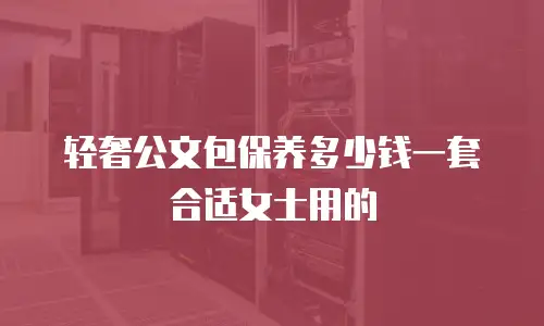 轻奢公文包保养多少钱一套合适女士用的