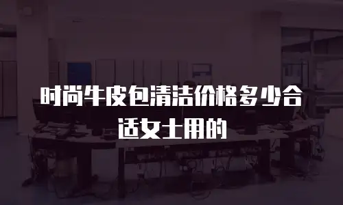 时尚牛皮包清洁价格多少合适女士用的