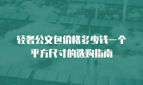 轻奢公文包价格多少钱一个平方尺寸的选购指南