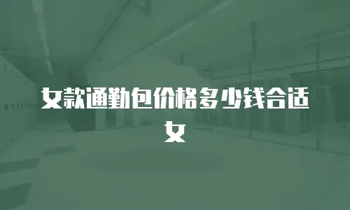 女款通勤包价格多少钱合适女