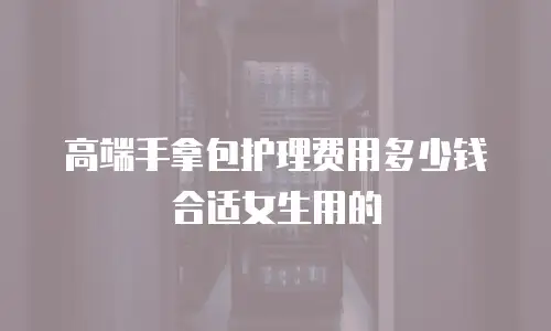 高端手拿包护理费用多少钱合适女生用的