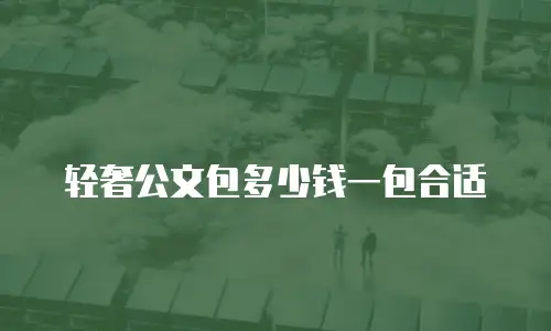 轻奢公文包多少钱一包合适