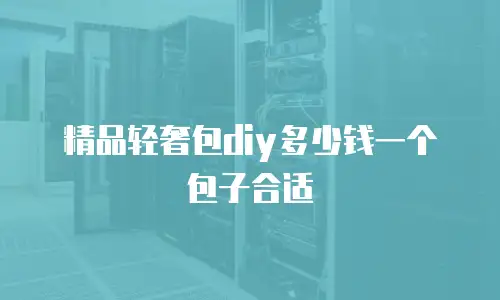 精品轻奢包diy多少钱一个包子合适