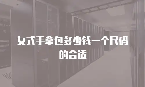 女式手拿包多少钱一个尺码的合适